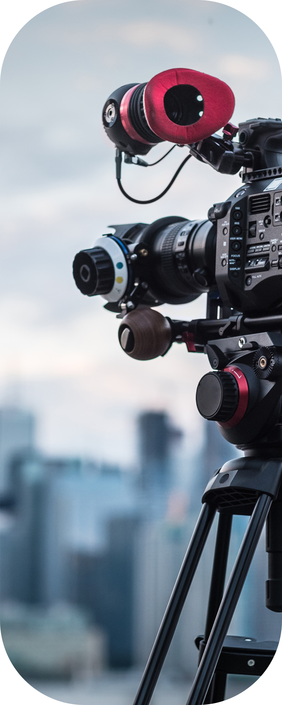 Imágen TrueSight 3